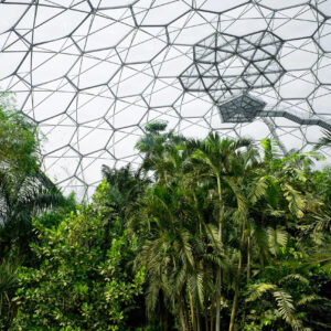 Interior of Eden Project with Geodesic Dome and Tropical Plants in the Foreground